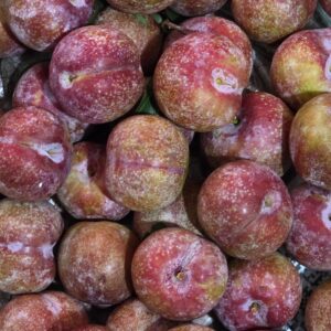 Mận Hậu Hộp 500g Kèm Gói Muối Hảo Hảo (Kim Chung trái mùa)