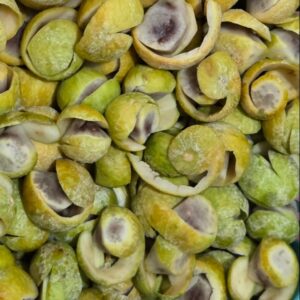 Sấu Xanh Ương Hộp 400g Kèm Gói Muối Hảo Hảo Nhỏ