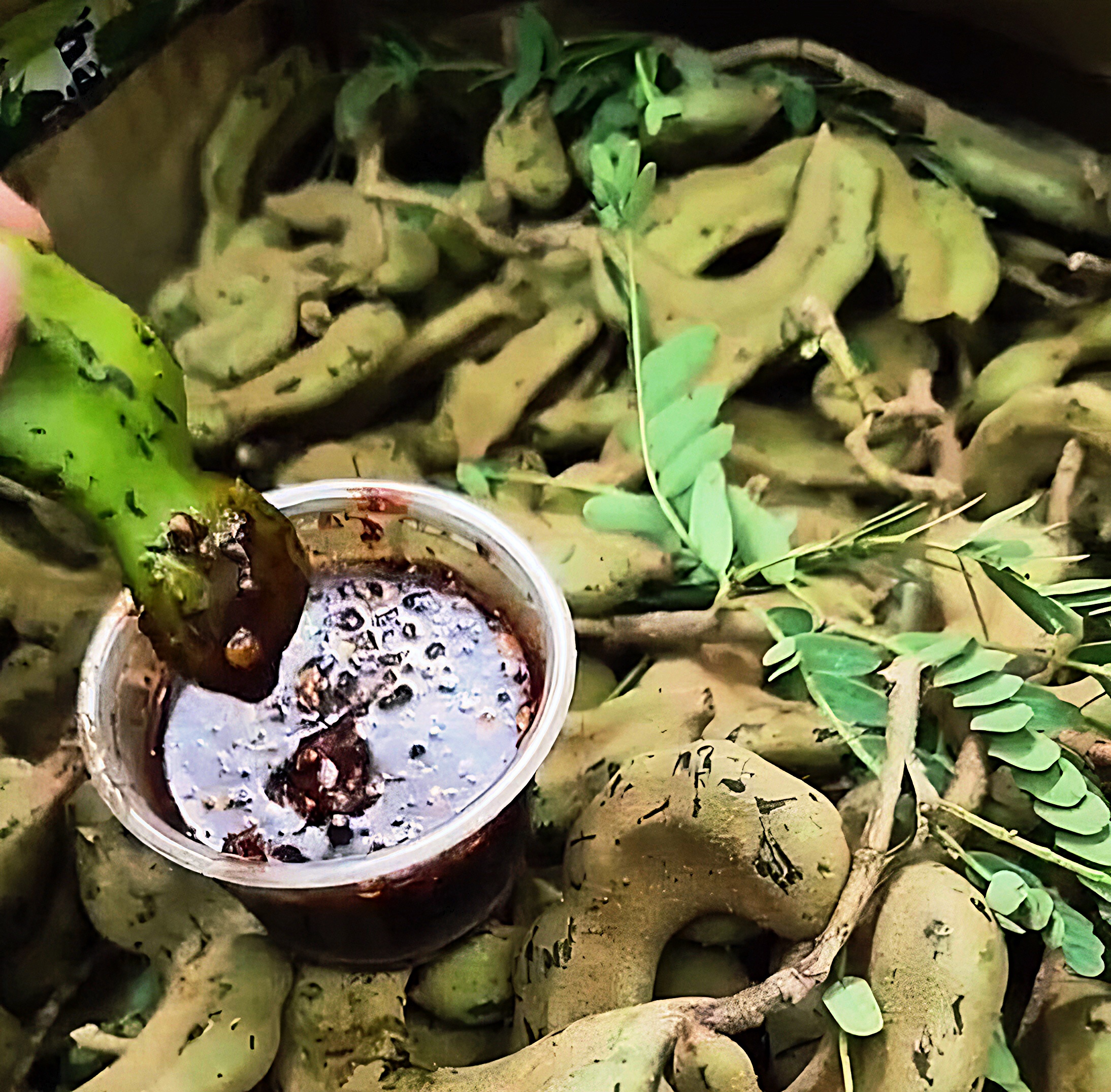 1d1298db77b8f8b7835a4d320f4ef621(5)