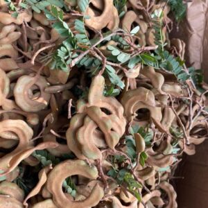 Me Xanh 0,5kg Kèm Gói Muối Hảo Hảo Nhỏ