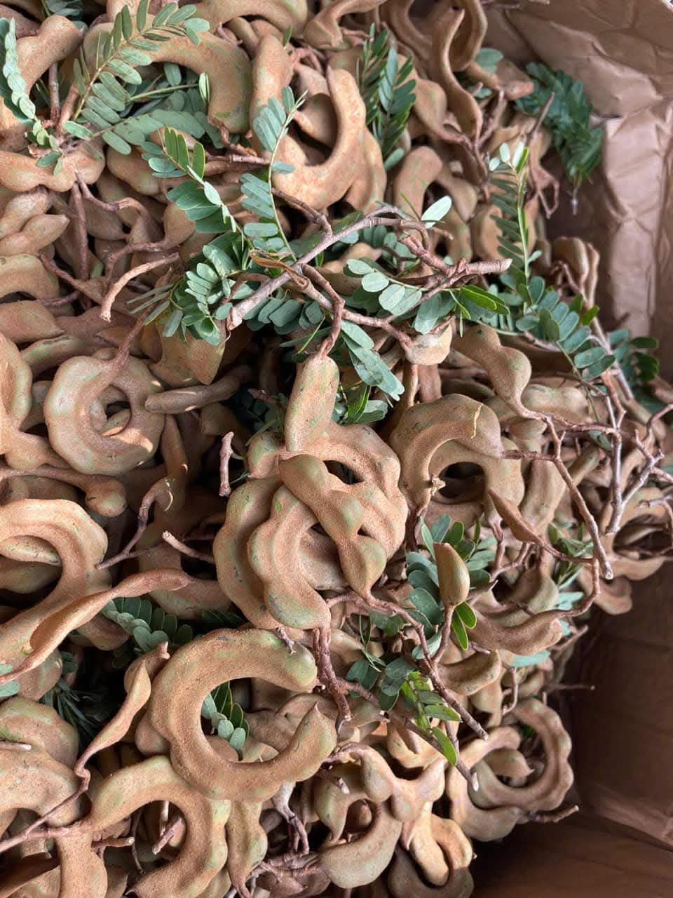 FB_IMG_1758914300013