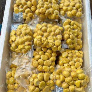 Hạt Dẻ Sống 500g Hút Chân Không