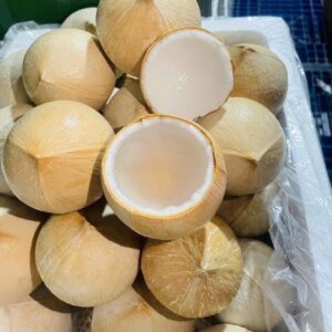 Dừa Xiêm Sọ 1 quả