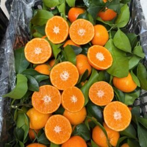 Quýt Ngọt Nhỏ 1kg