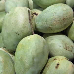 Combo 2kg Xoài Tứ Quý Không Gọt Kèm Gói Muối Hảo Hảo Nhỏ ( CHUA)