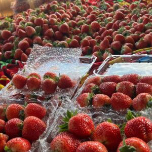 Dâu Tây Mộc Châu Hộp 500g