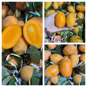 Quả Thanh Trà Thái 1kg