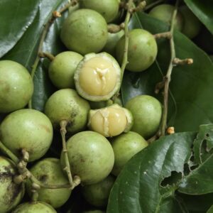 Dâu Da Xanh 0,5kg ( chua chua ngọt ngọt)
