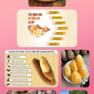 Sâm Đất Hộp 400g Kèm Gói Muối Hảo Hảo Nhỏ